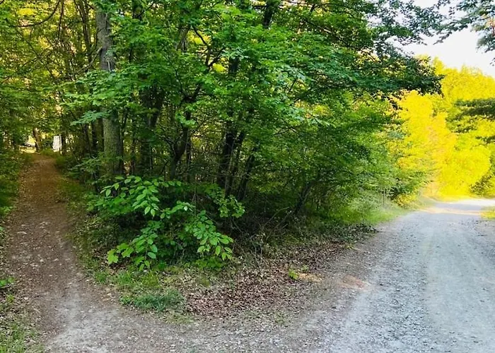 Apartment Schoene Barrierefreie Bis Zu 4 Personen *